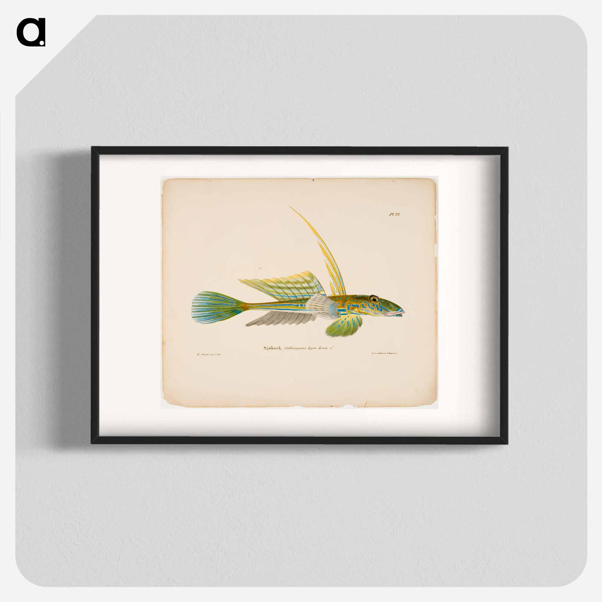 Dragonet - ヴィルヘルム フォン ライト Poster.