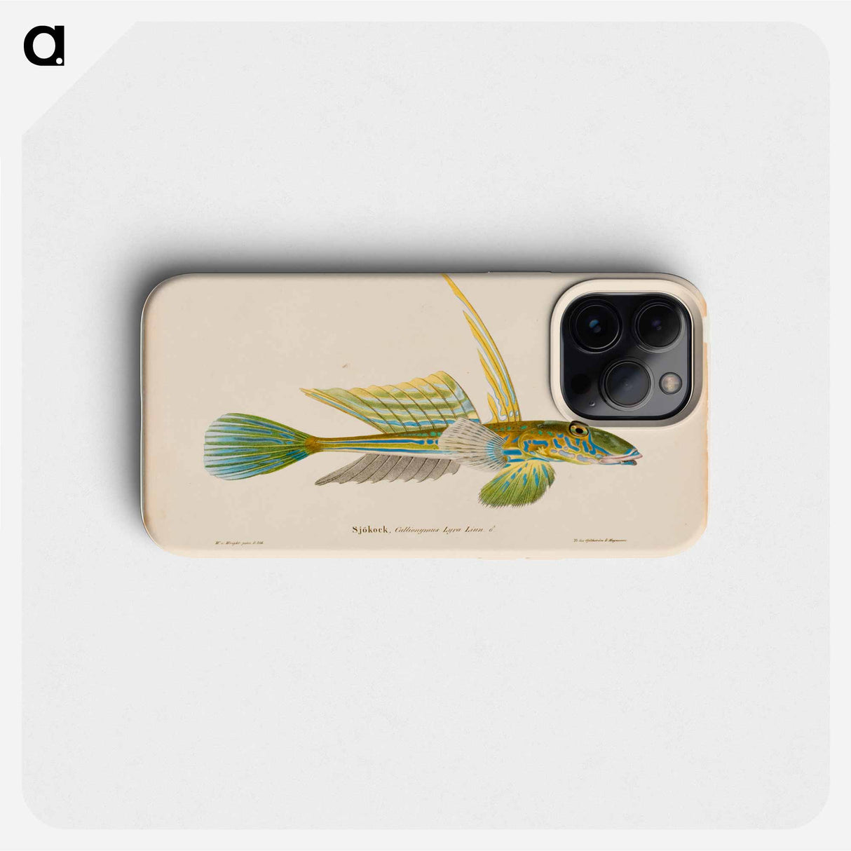 Dragonet - Wilhelm von Wright Phone Case.