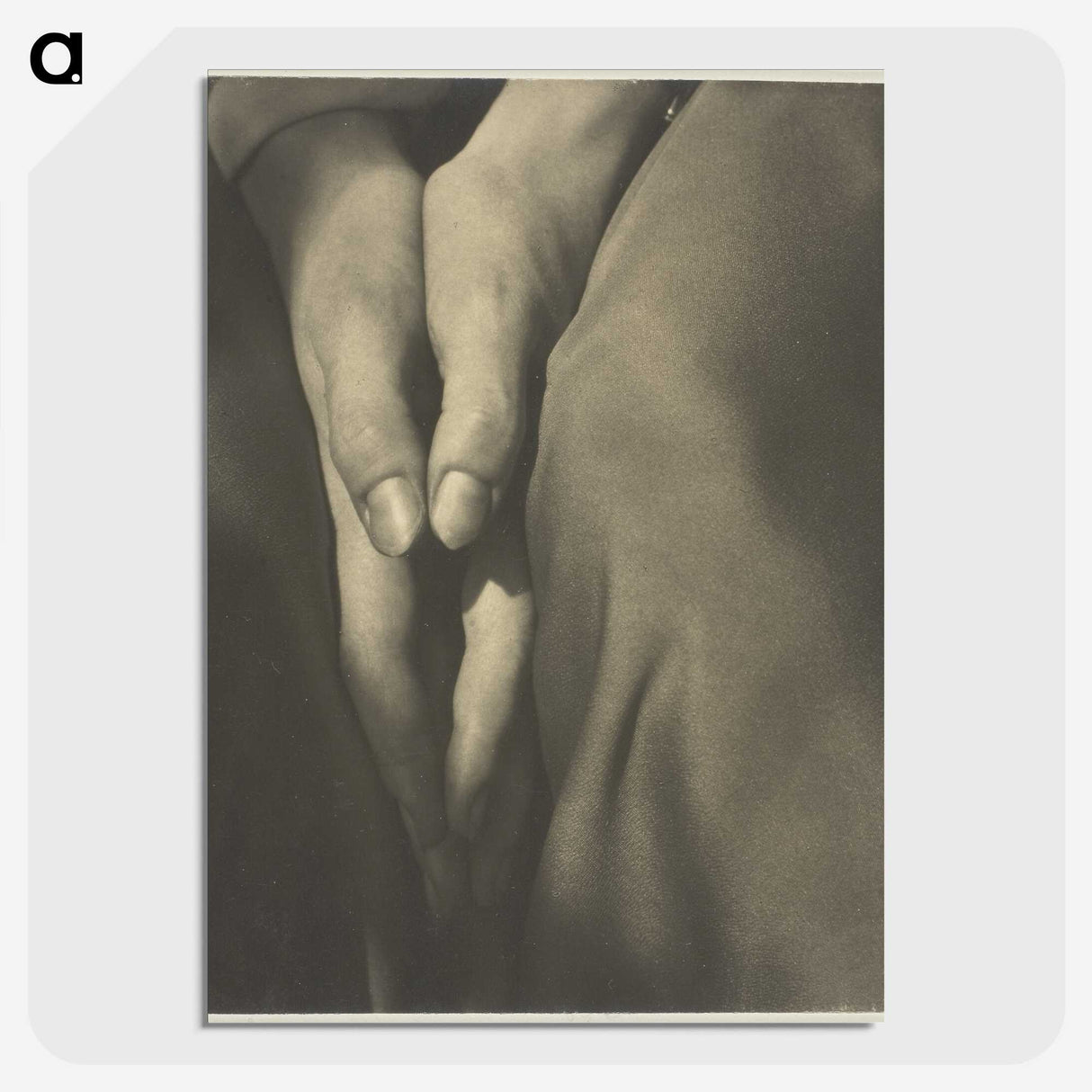 1-67_Alfred-Stieglitz_picture-crop
