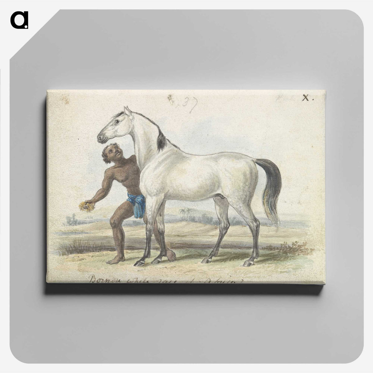 1-67_Charles-Hamilton-Smith_canvas