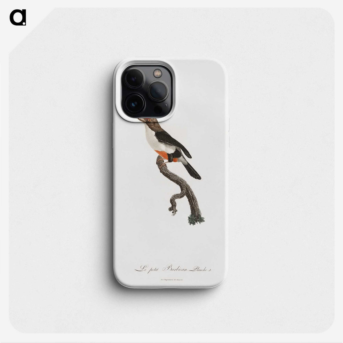 1-67_Des-Oiseaux-de-Paradis_phone