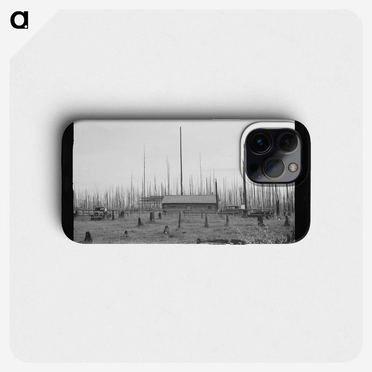 1-67_Dorothea-Lange_phone