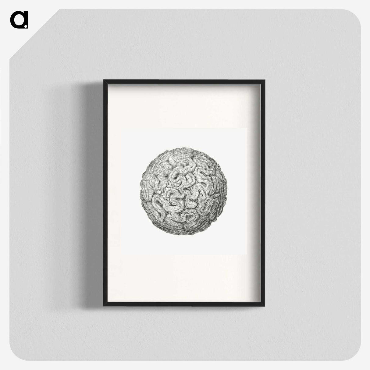 1-67_Ernst-Haeckel_blk