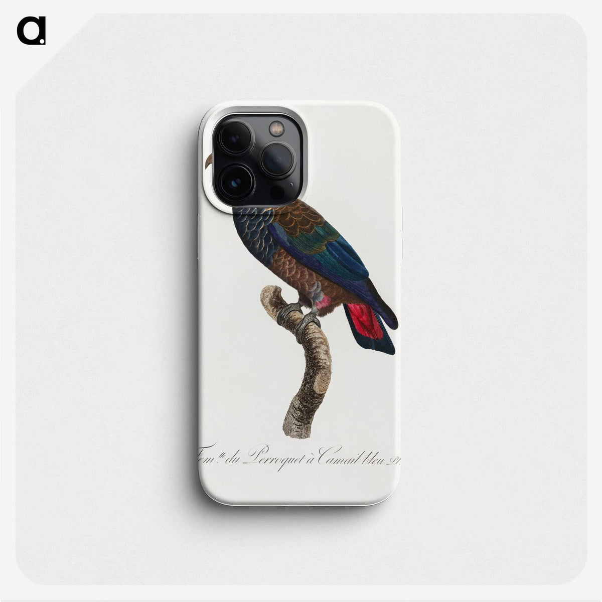 1-67_Francois-Levaillant_phone
