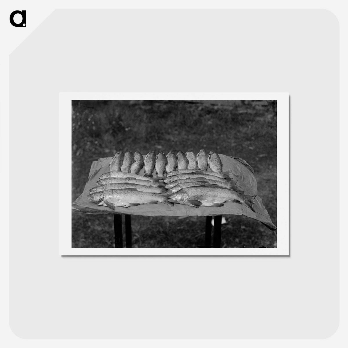 1-67_Frederick-Charles-Brockett_hagaki