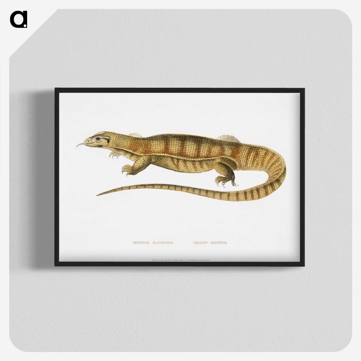 1-67_Indian-Zoology_blk-crop