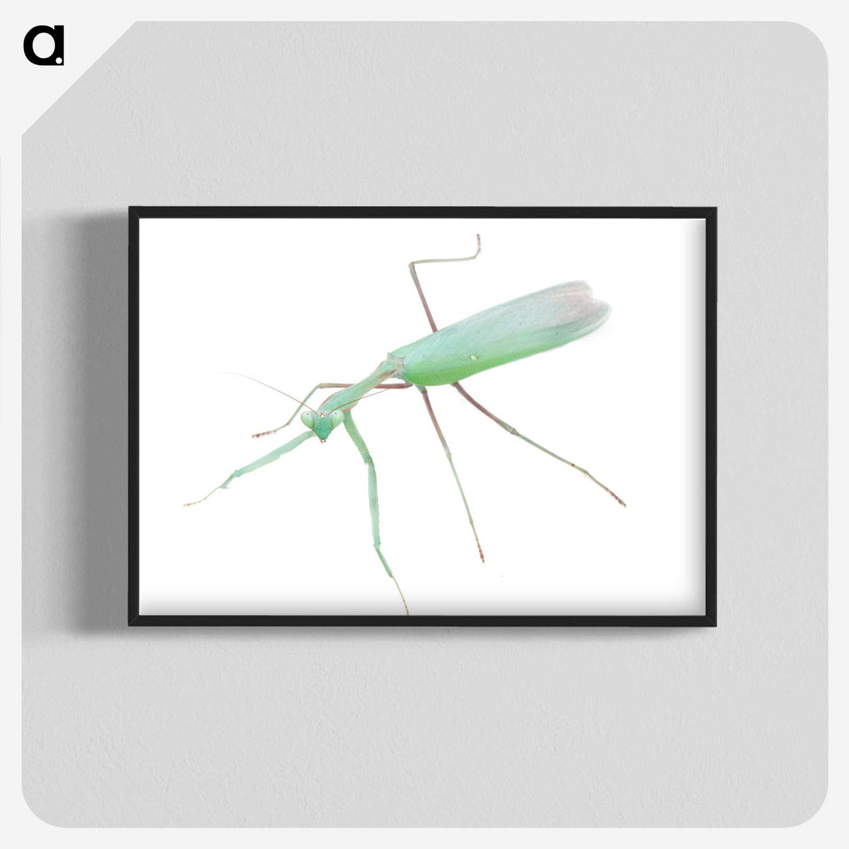 1-67_Insects-Unlocked-Project_blk-crop