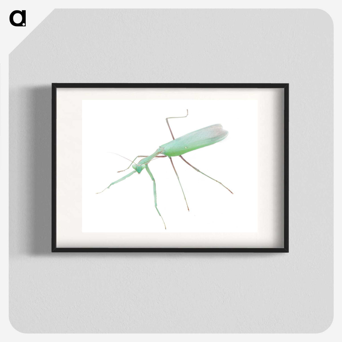 1-67_Insects-Unlocked-Project_blk