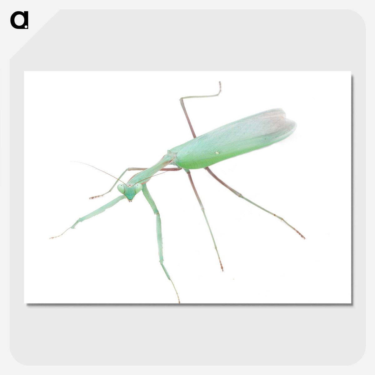 1-67_Insects-Unlocked-Project_picture-crop