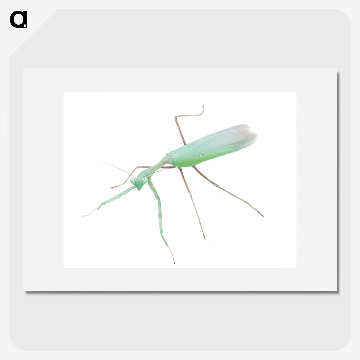 1-67_Insects-Unlocked-Project_picture