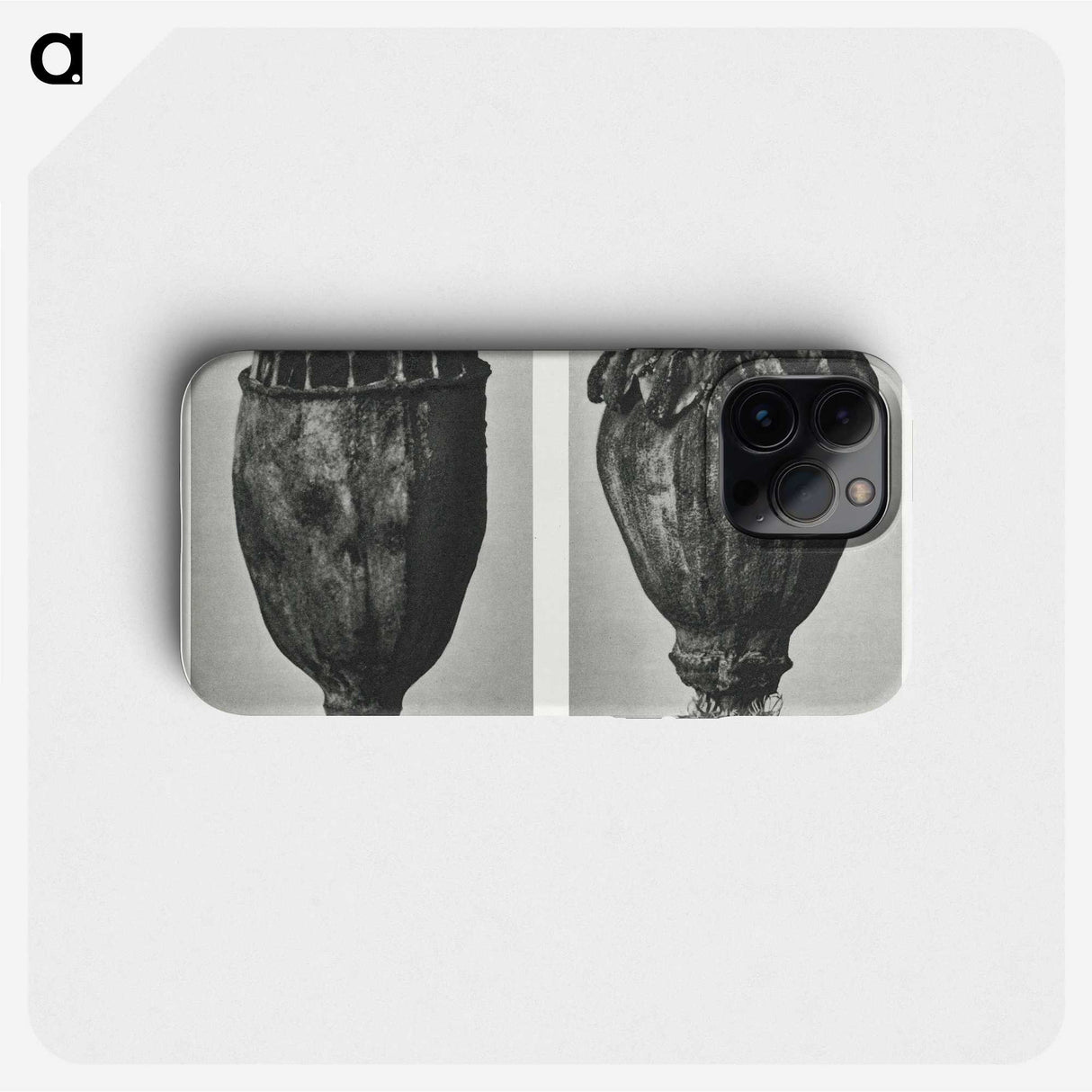 1-67_Karl-Blossfeldt_phone