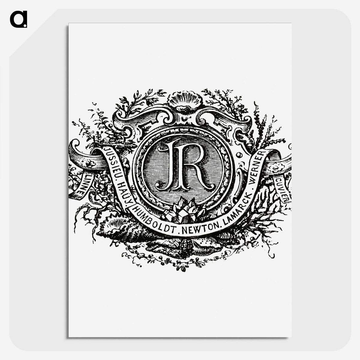 1-67_Les-Palmiers-Histoire-Iconographique_picture-crop