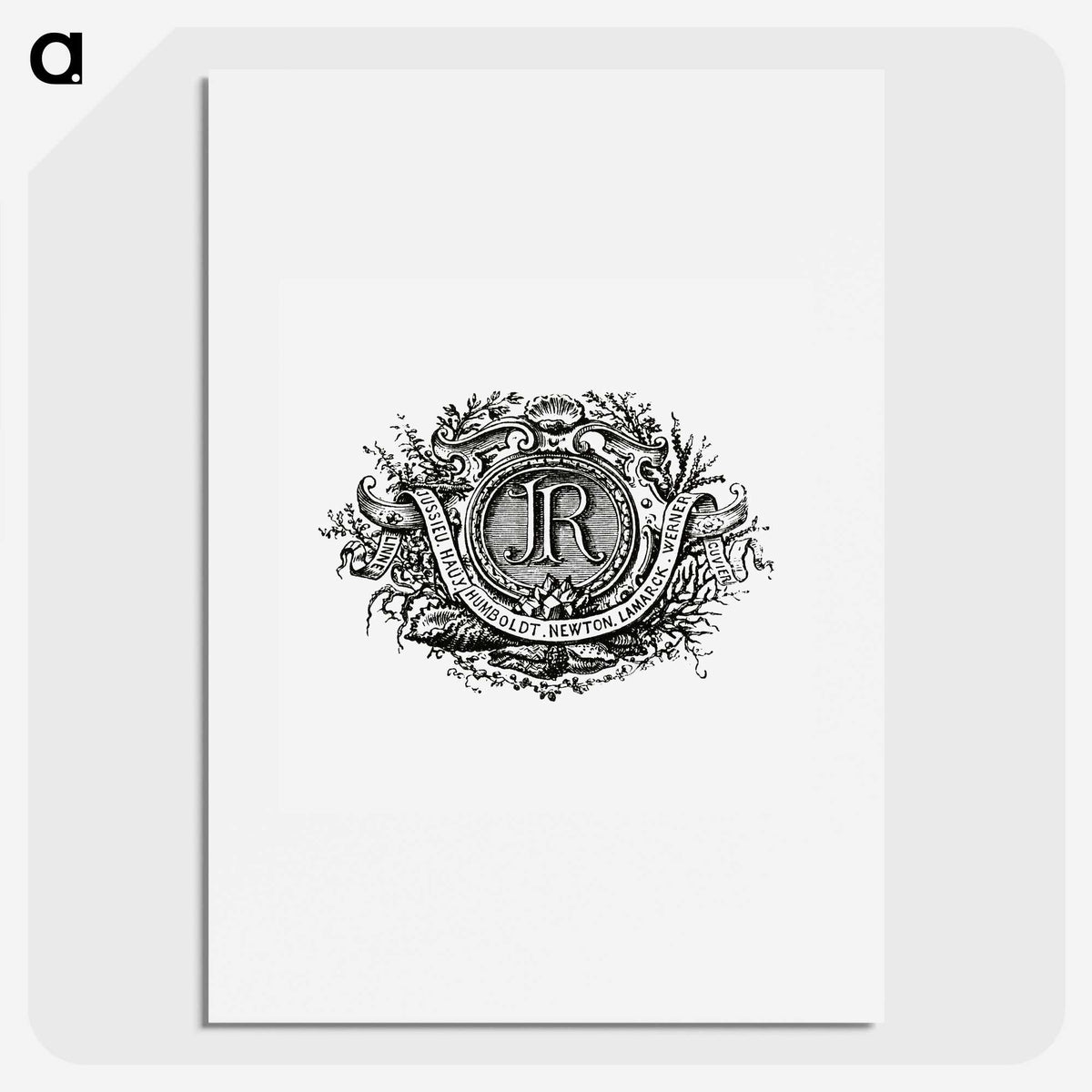 1-67_Les-Palmiers-Histoire-Iconographique_picture