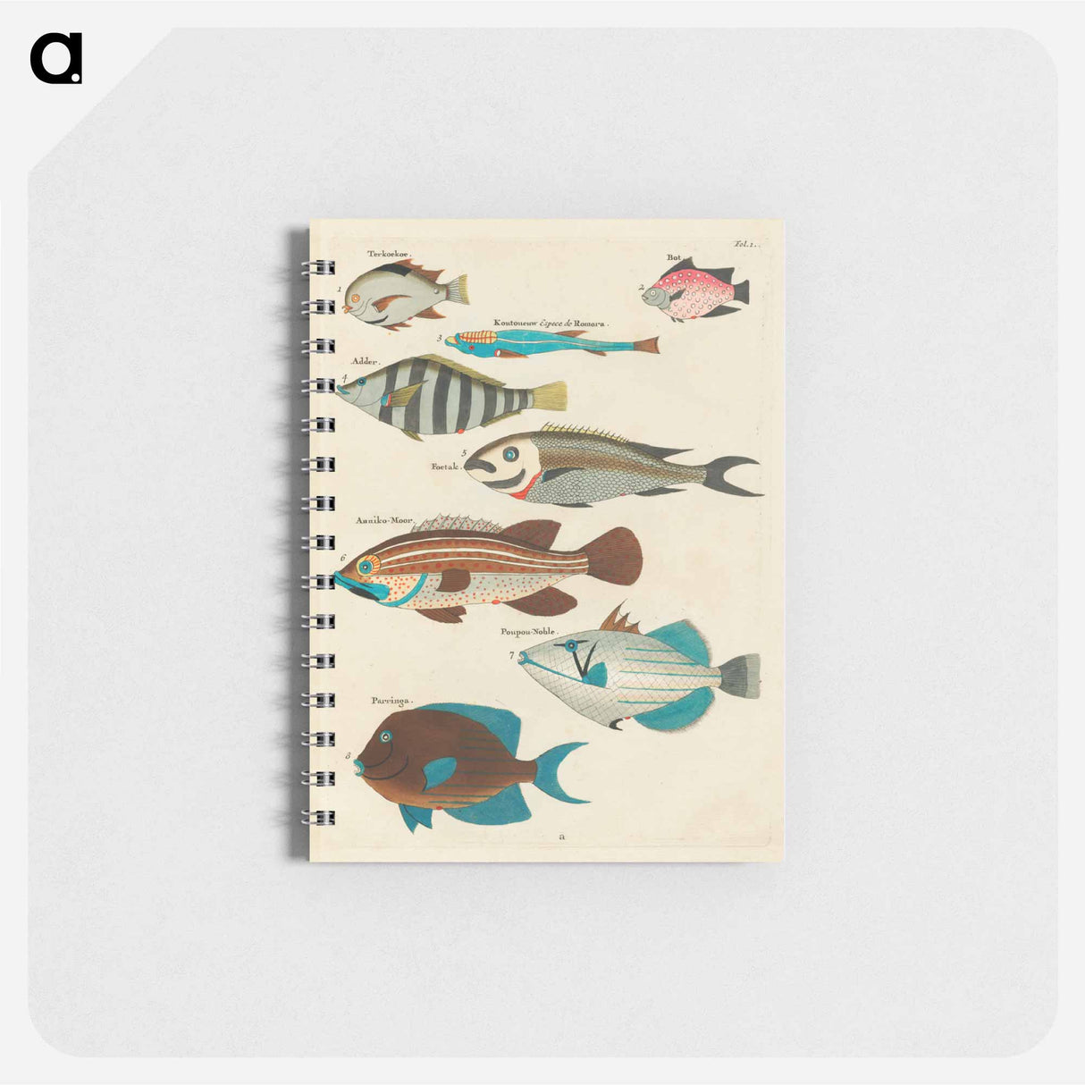 Moluccan Fishes
- ルイ ルナール Memo.
