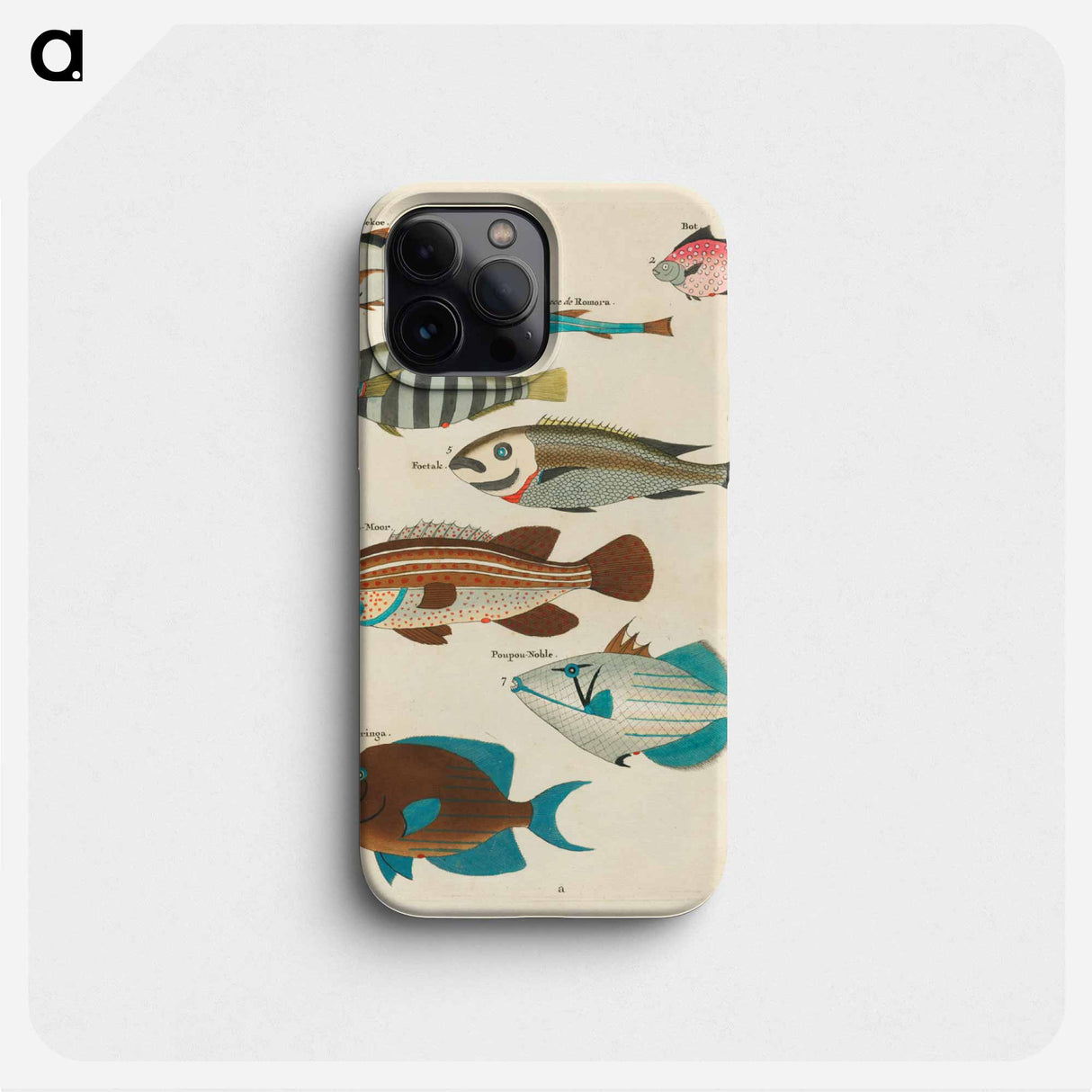 Moluccan Fishes
- ルイ ルナール Phone Case.