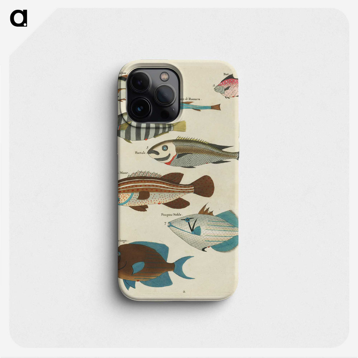 1-67_Louis-Renard_phone