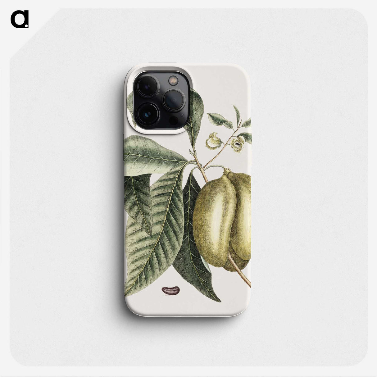 1-67_Mark-Catesby_phone