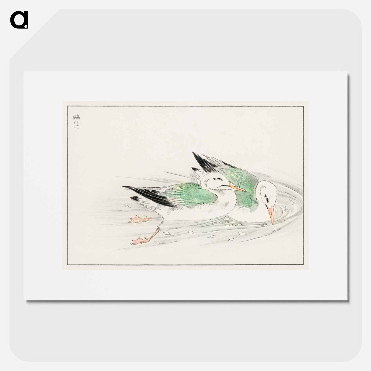 アートポスター-Gull
- 鳥類図鑑 Poster.
