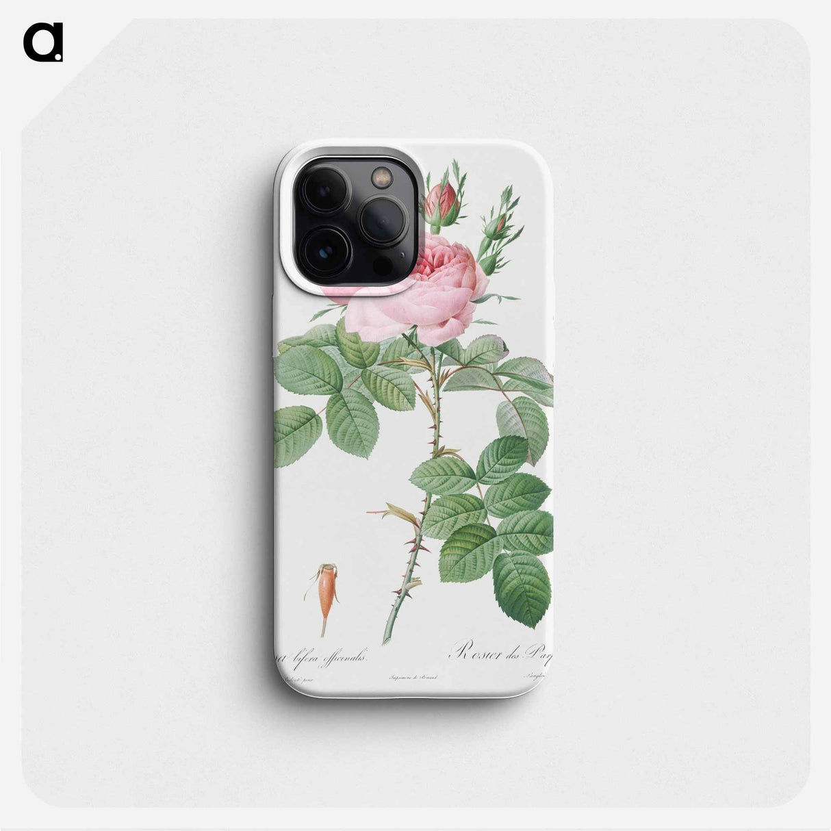 Rosa bifera officinalis - Pierre Joseph Redouté Phone Case.