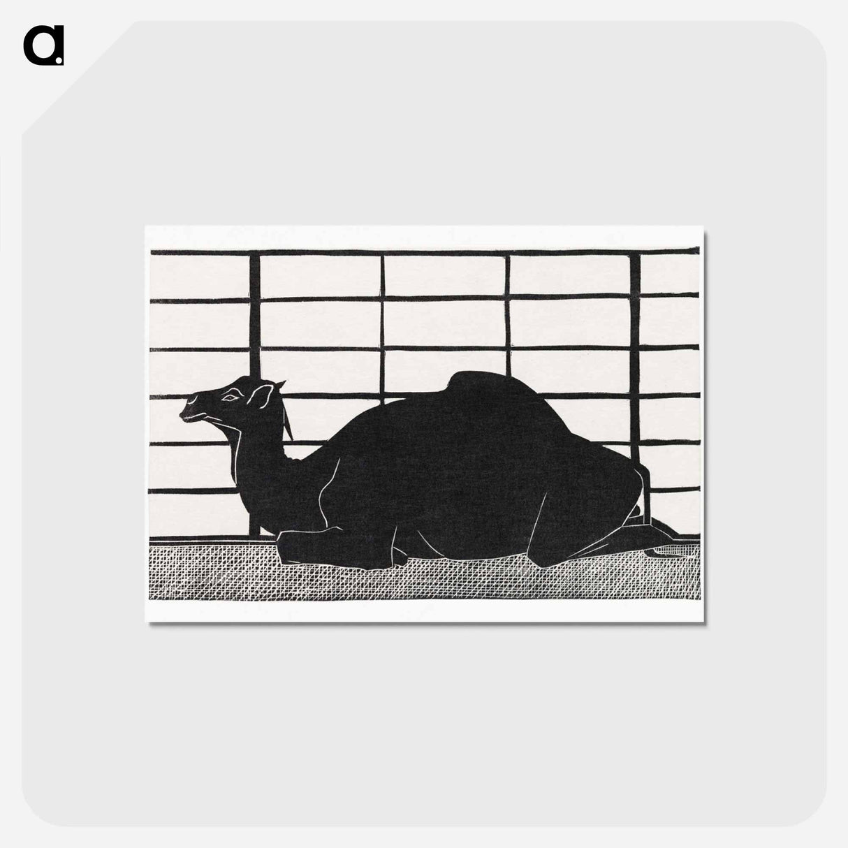 Dromedary
- サミュエル ジェスルン Postcard.