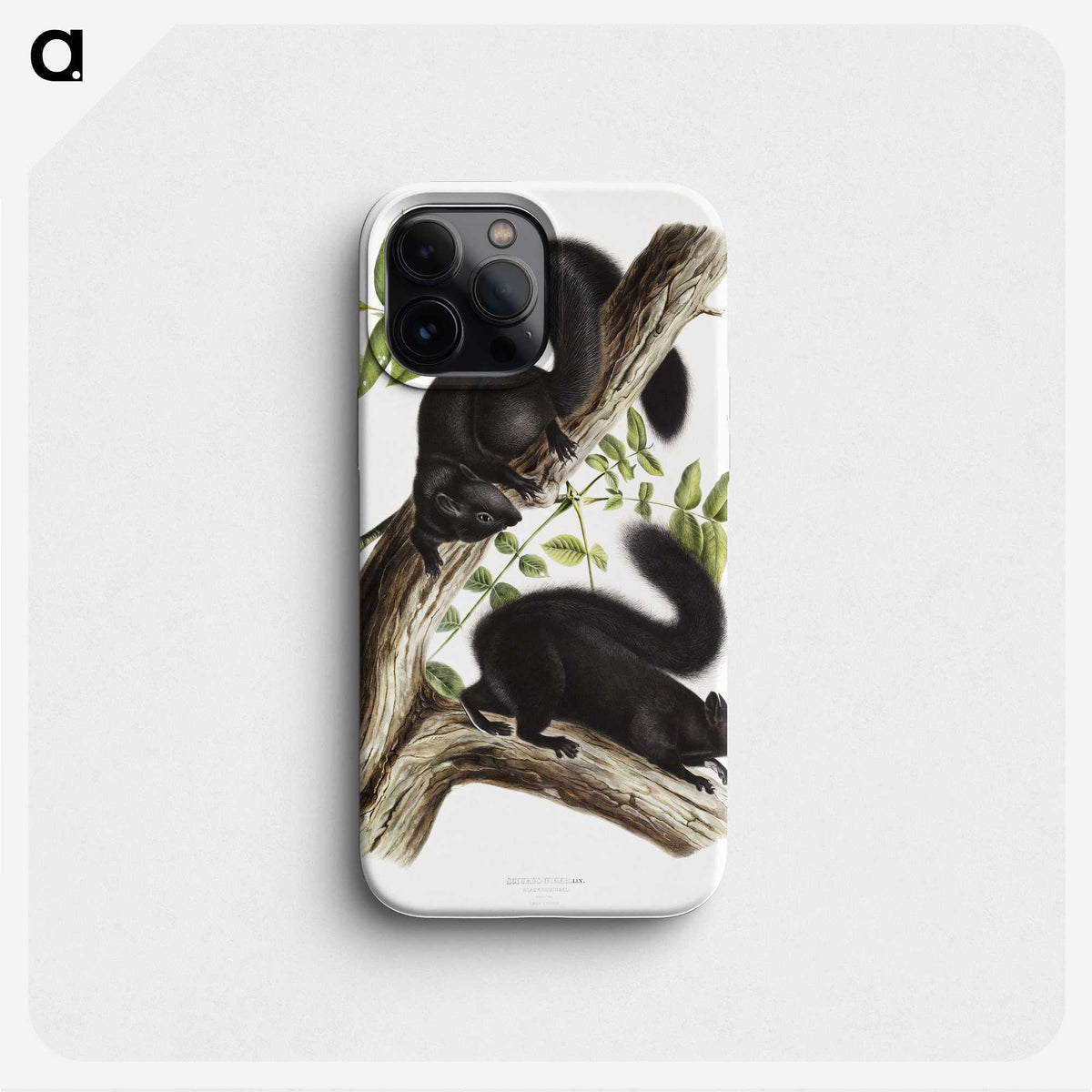 1-67_The-Viviparous-Quadrupeds_phone