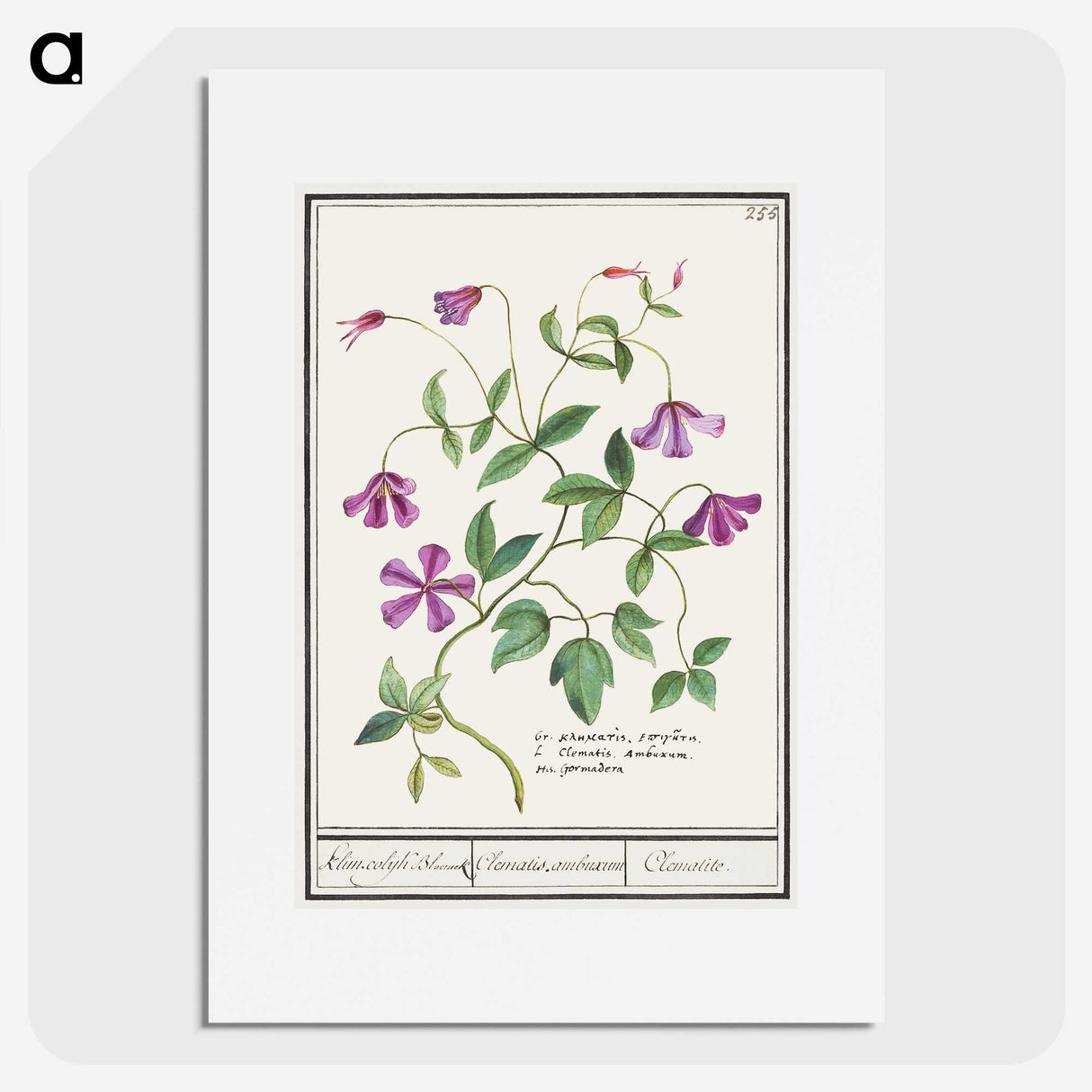 1-68_Anselmus-Boetius-de-Boodt_picture