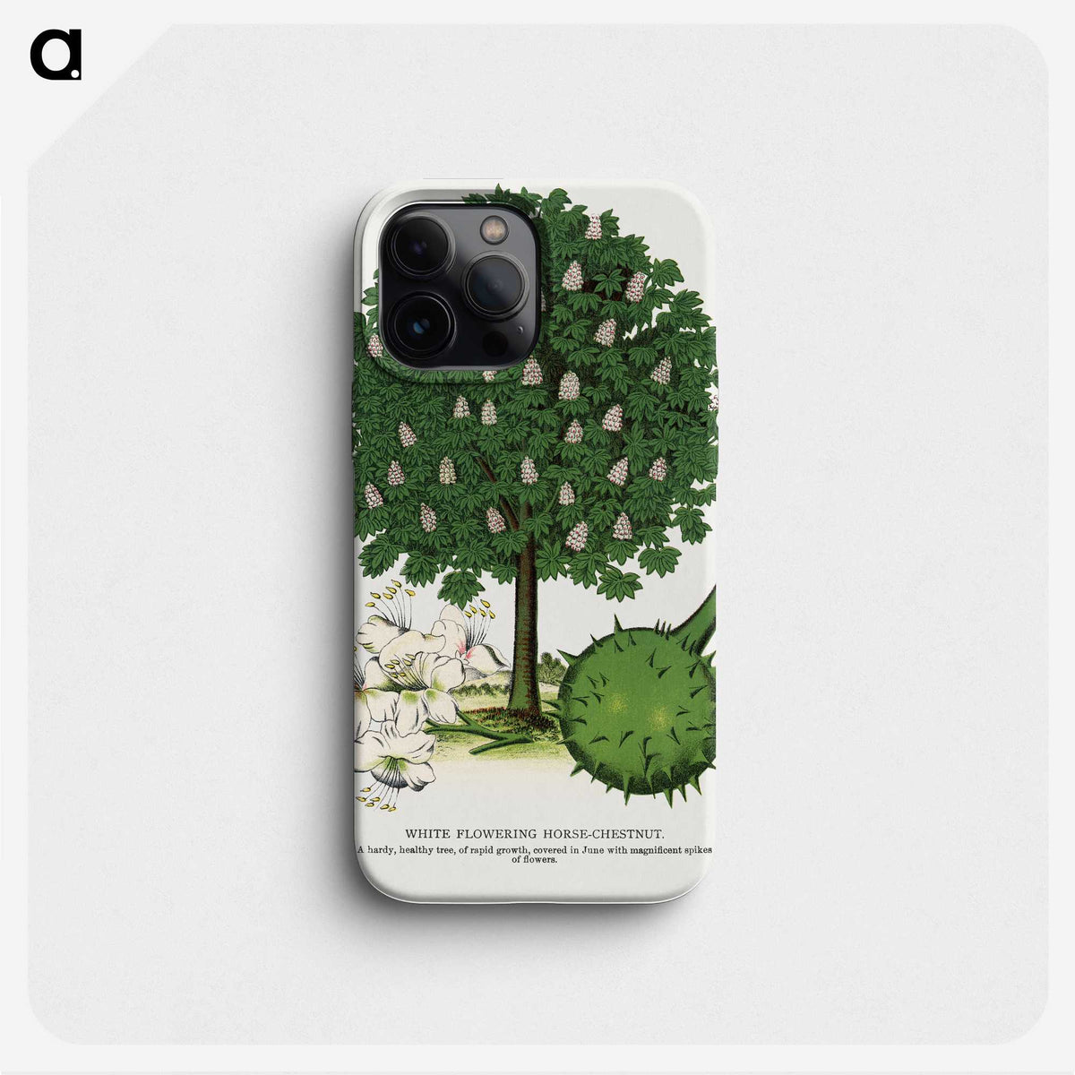 1-68_Botanical-Specimen-Plates_phone