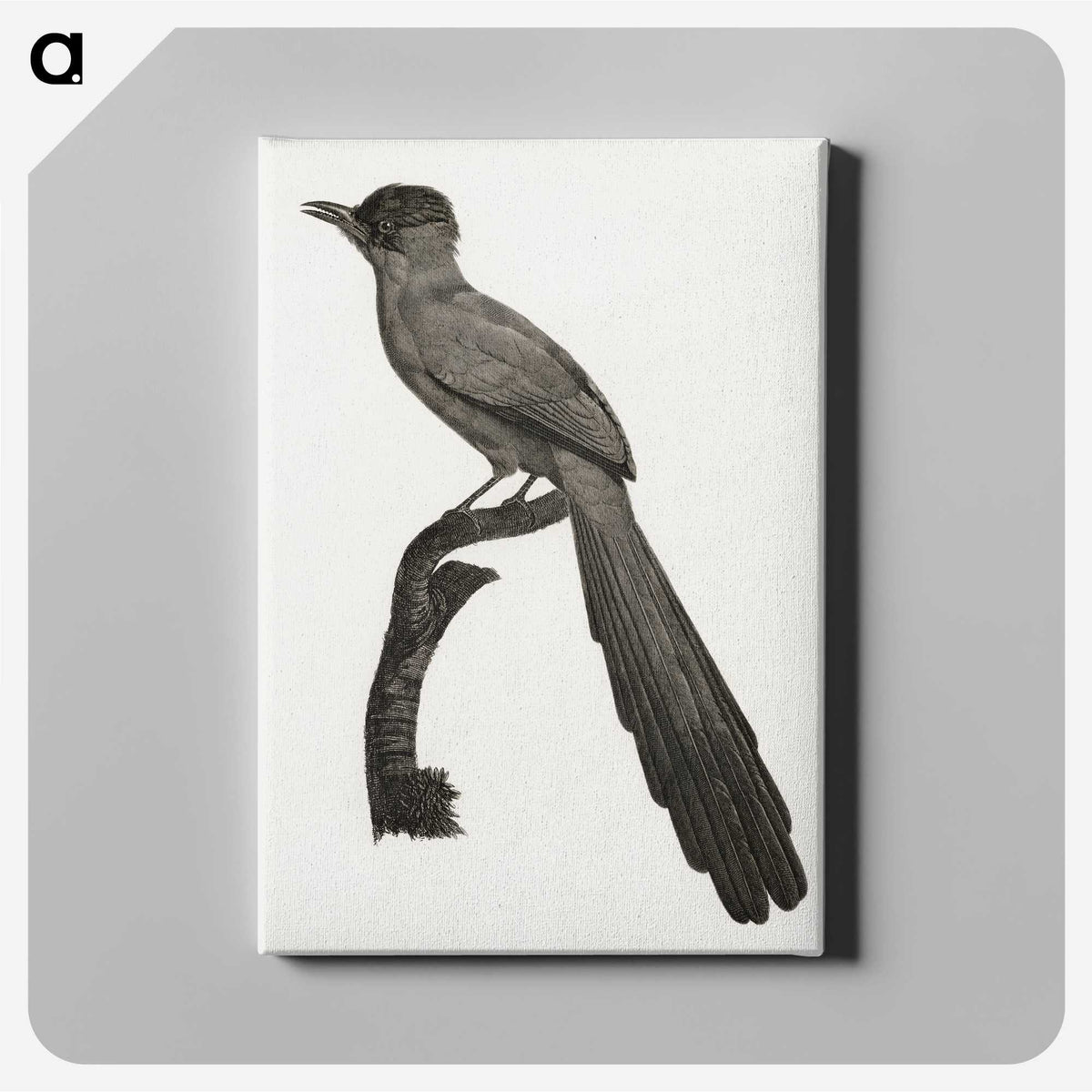 1-68_Des-Oiseaux-de-Paradis_canvas