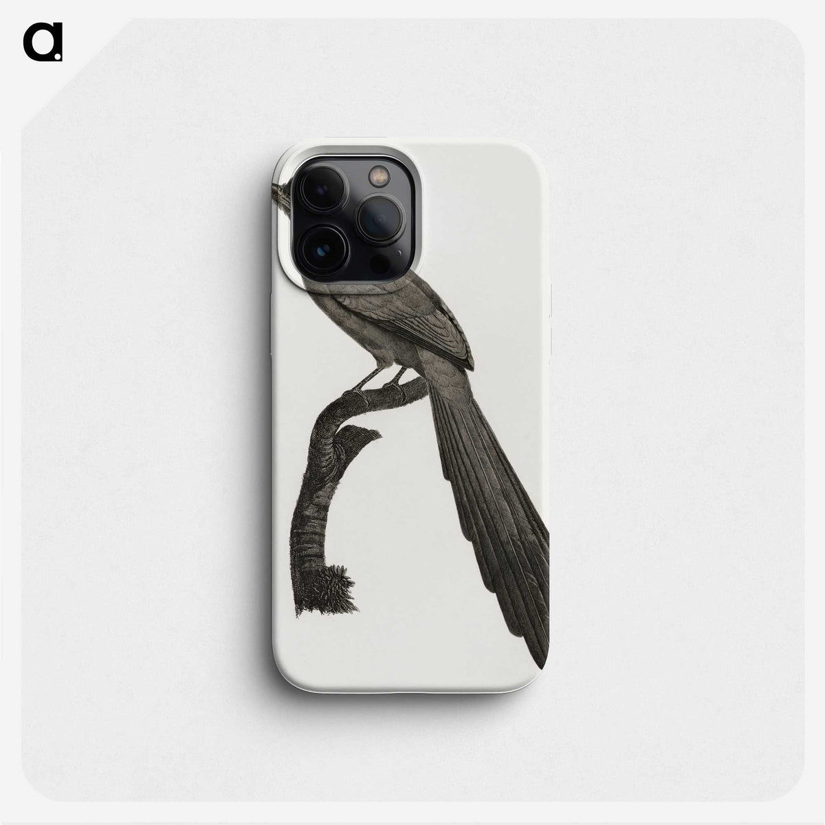 1-68_Des-Oiseaux-de-Paradis_phone