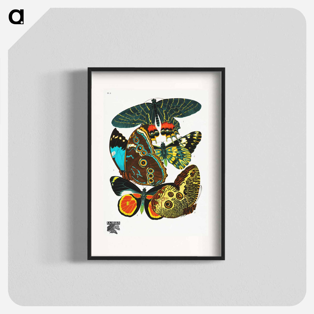 E.A. Séguy's vintage butterflies - E.A.セギー Poster.