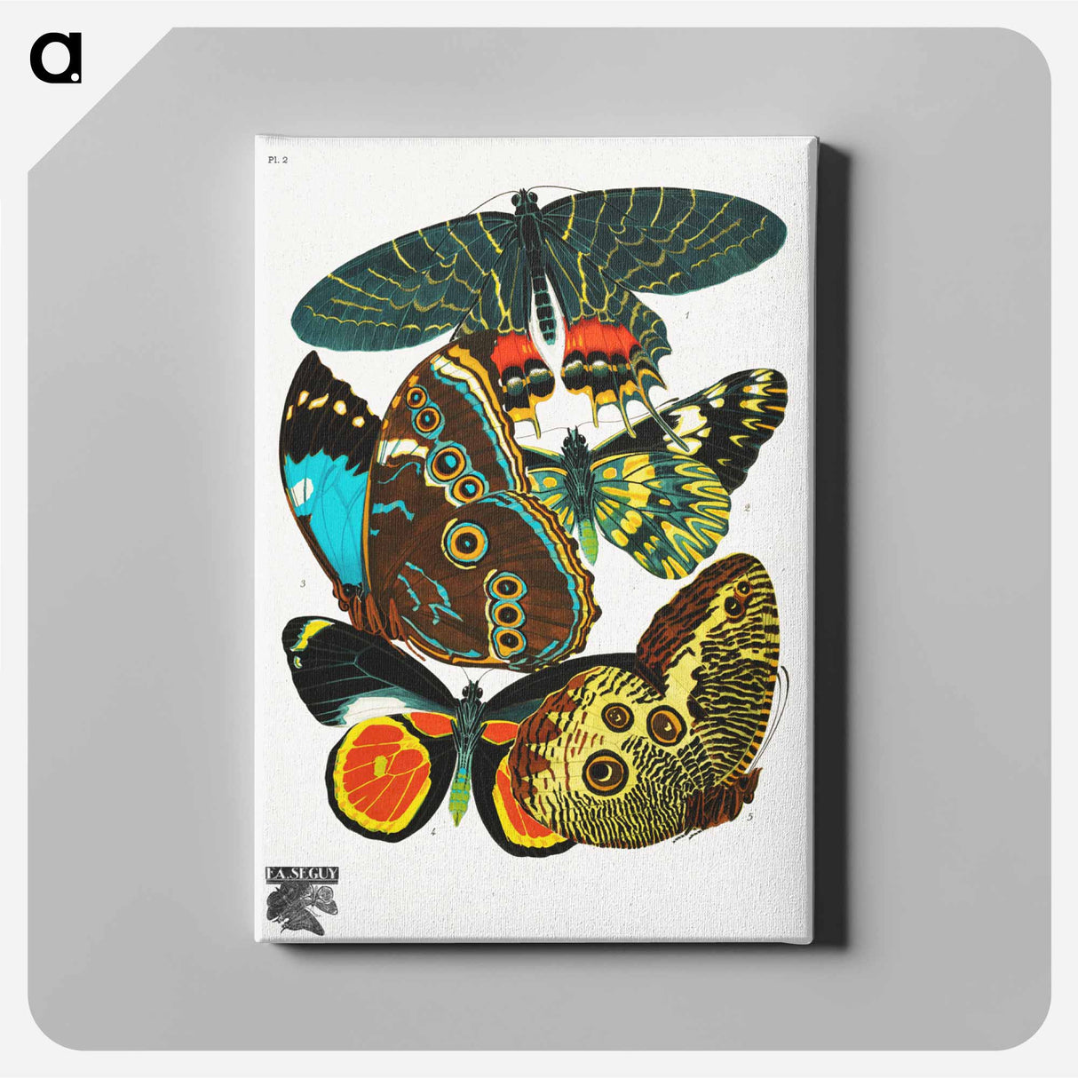 E.A. Séguy's vintage butterflies - E.A.セギー Canvas.