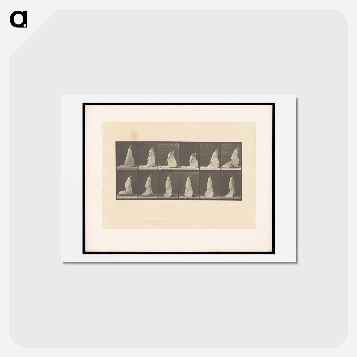 アートポストカード-Lifting Her Hem
- エドワード マイブリッジ Postcard.