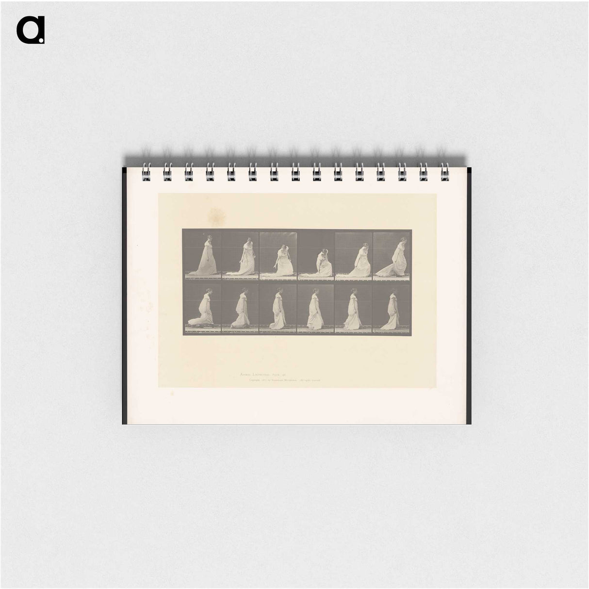 1-68_Eadweard-Muybridge_memo