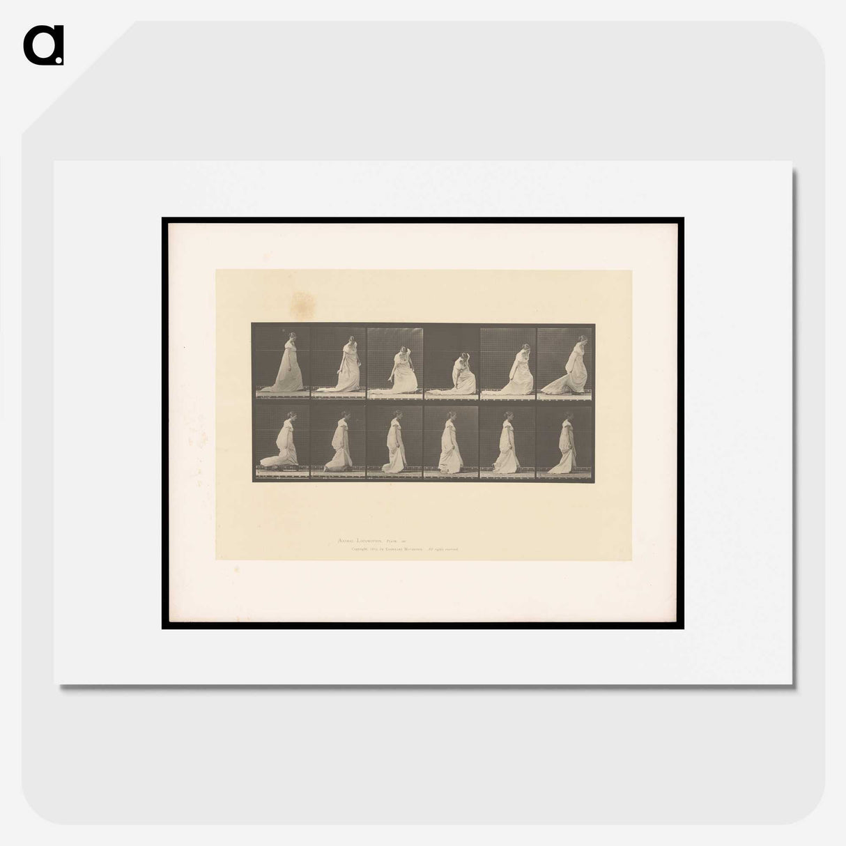 1-68_Eadweard-Muybridge_picture