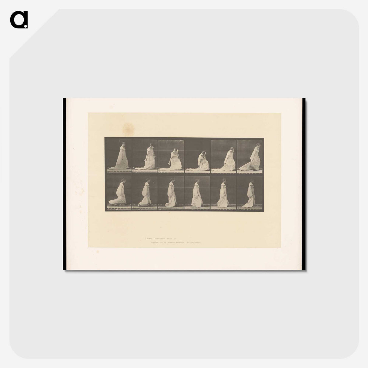 1-68_Eadweard-Muybridge_postcard