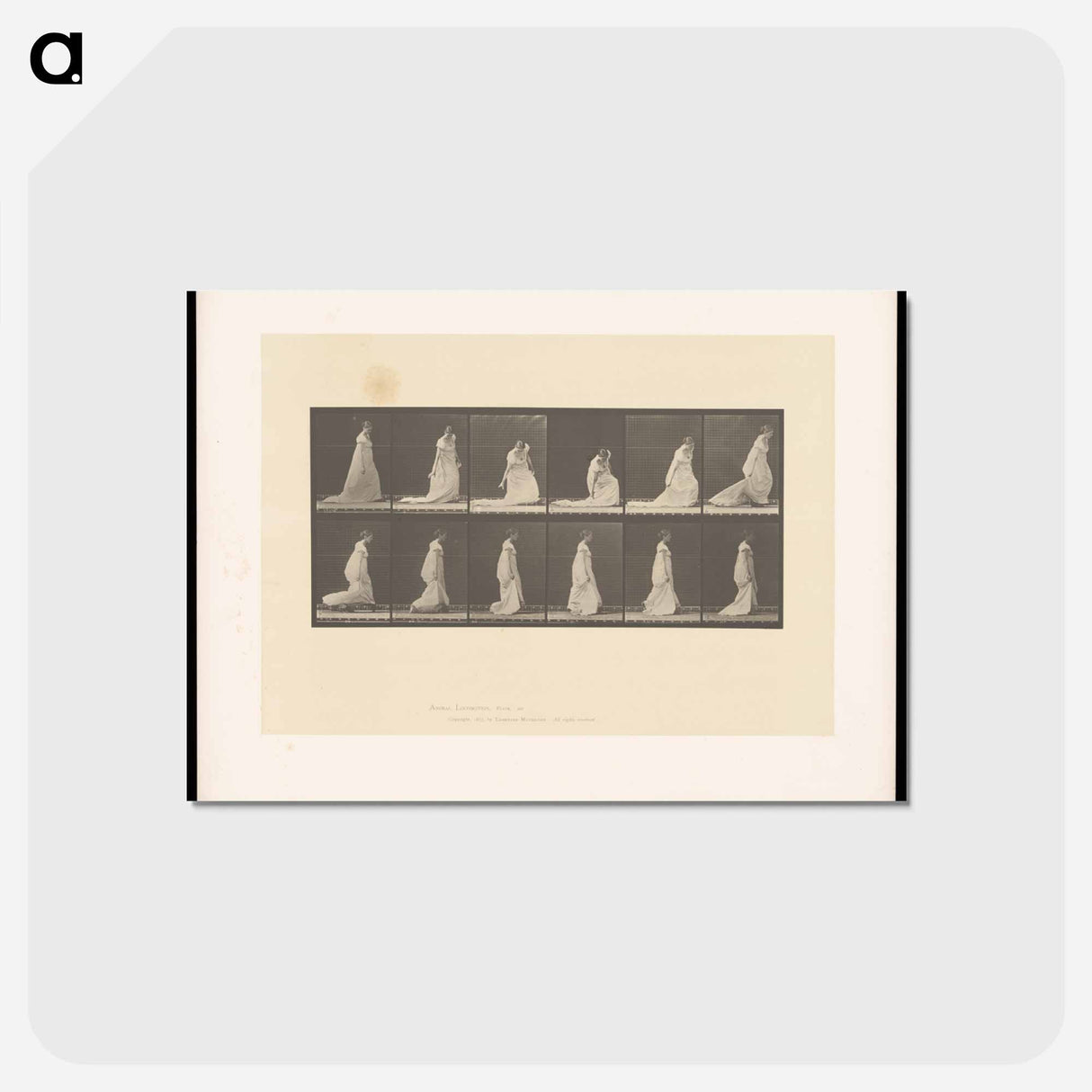 アートポストカード-Lifting Her Hem
- エドワード マイブリッジ Postcard.
