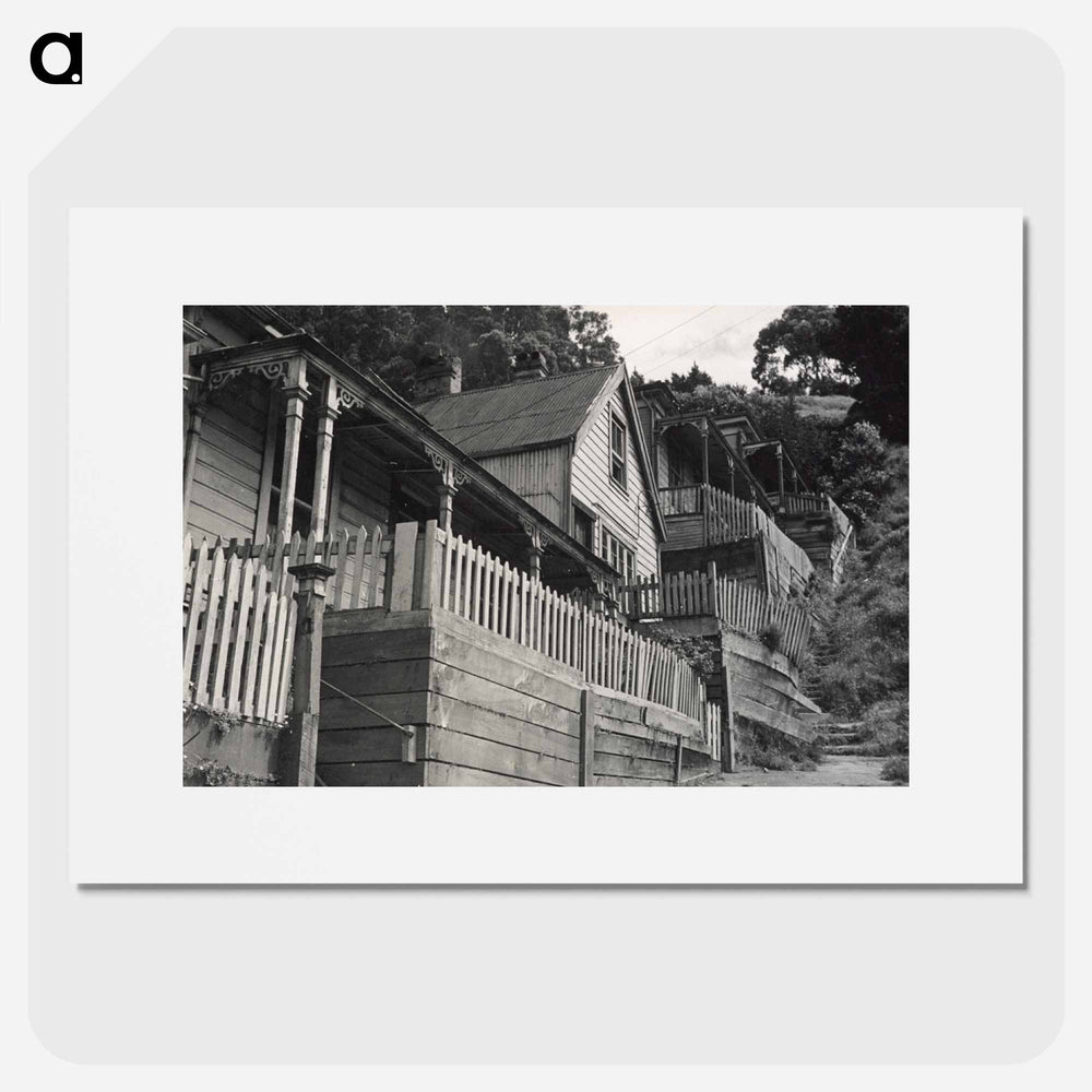 Residential housing, Wellington - エリック リー ジョンソン Poster.