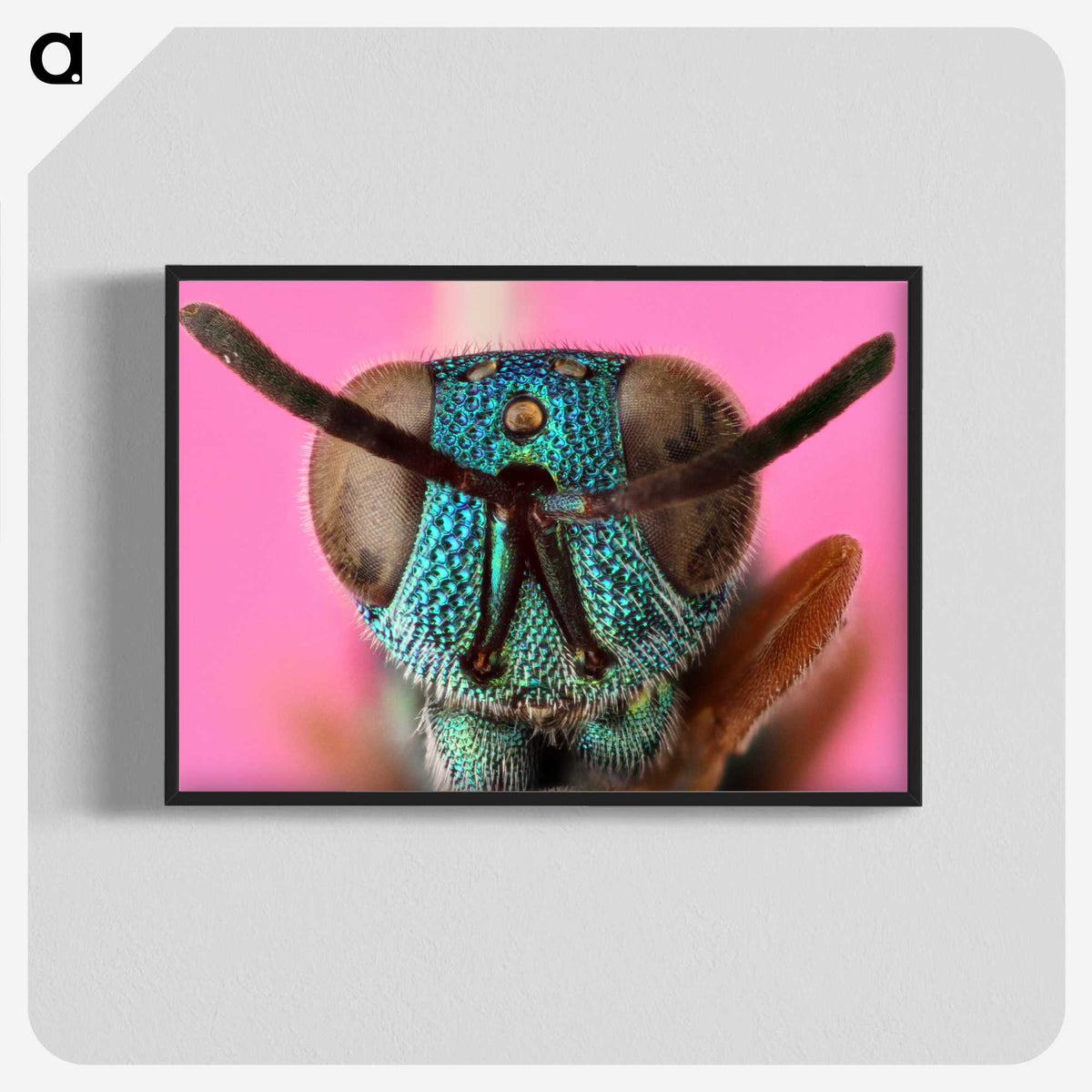 1-68_Insects-Unlocked-Project_blk-crop