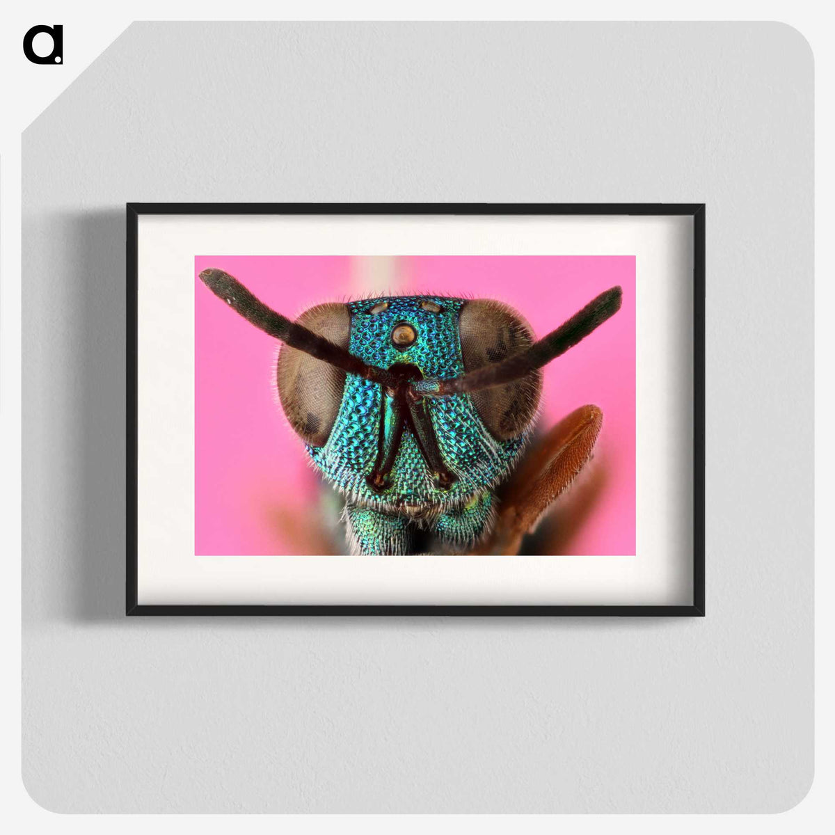 1-68_Insects-Unlocked-Project_blk