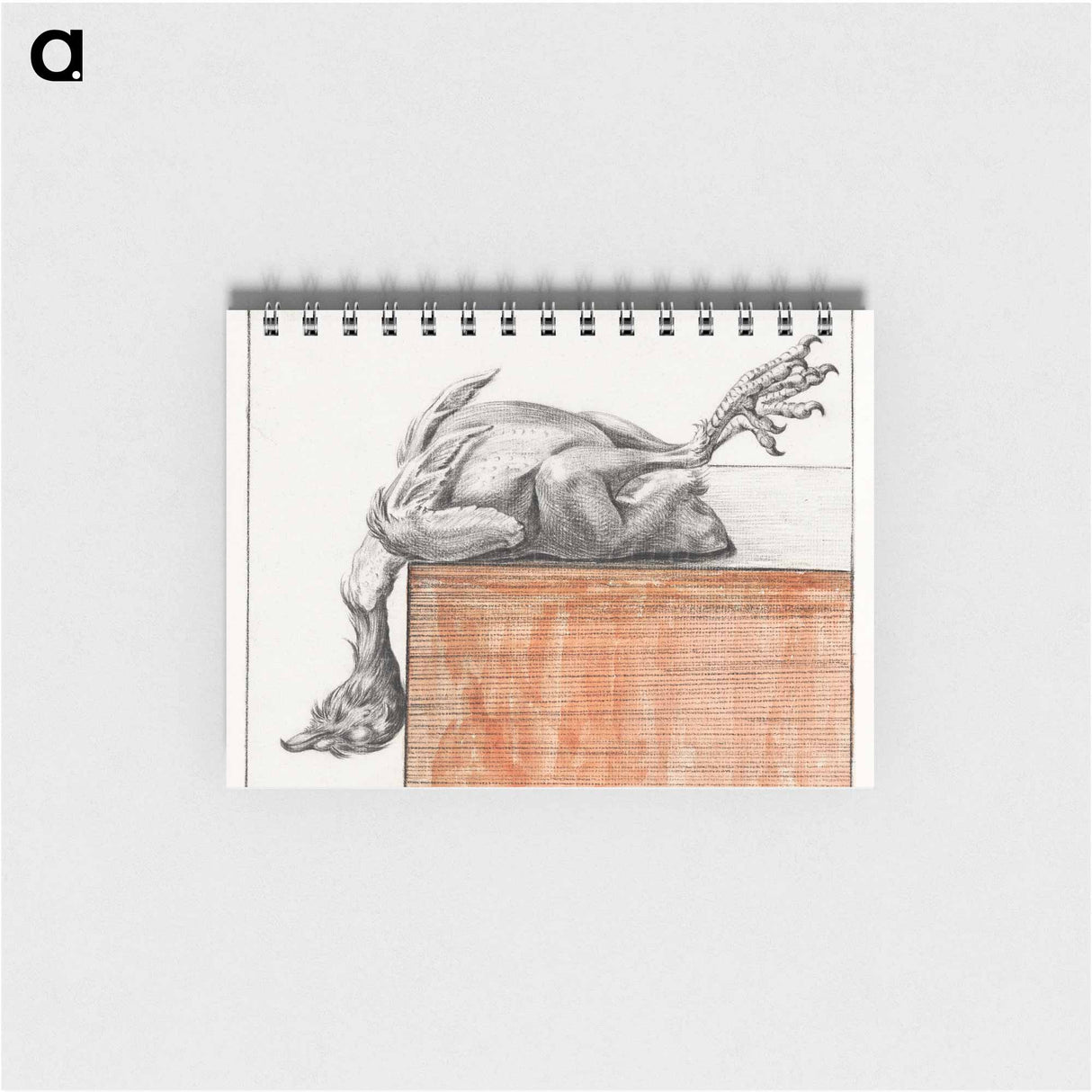 Reclining dead bird, hanging head down - ジャン ベルナール Memo.