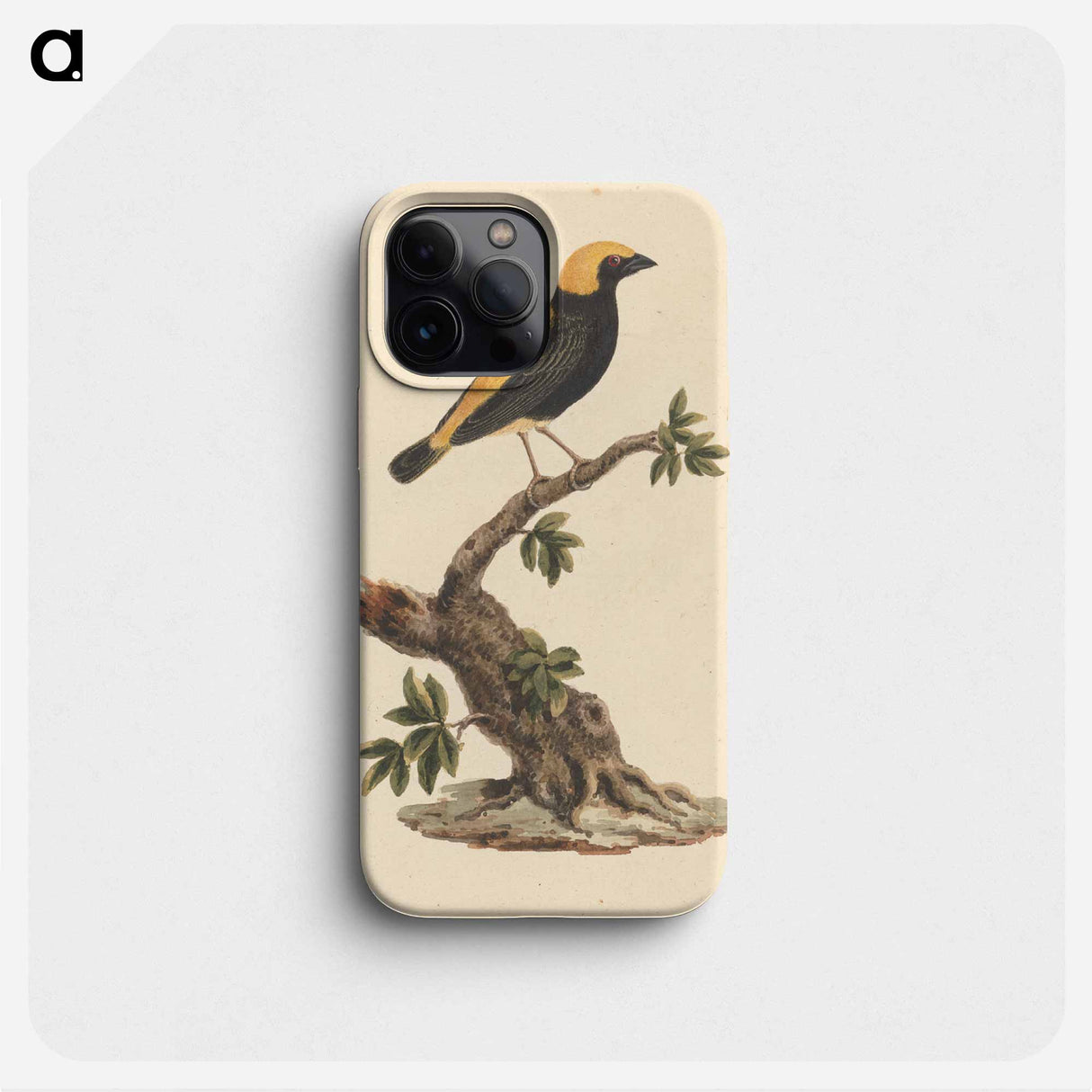 Euplectes afer (Yellow-Crowned Bishop)
- ルイージ バルガーニ Phone Case.