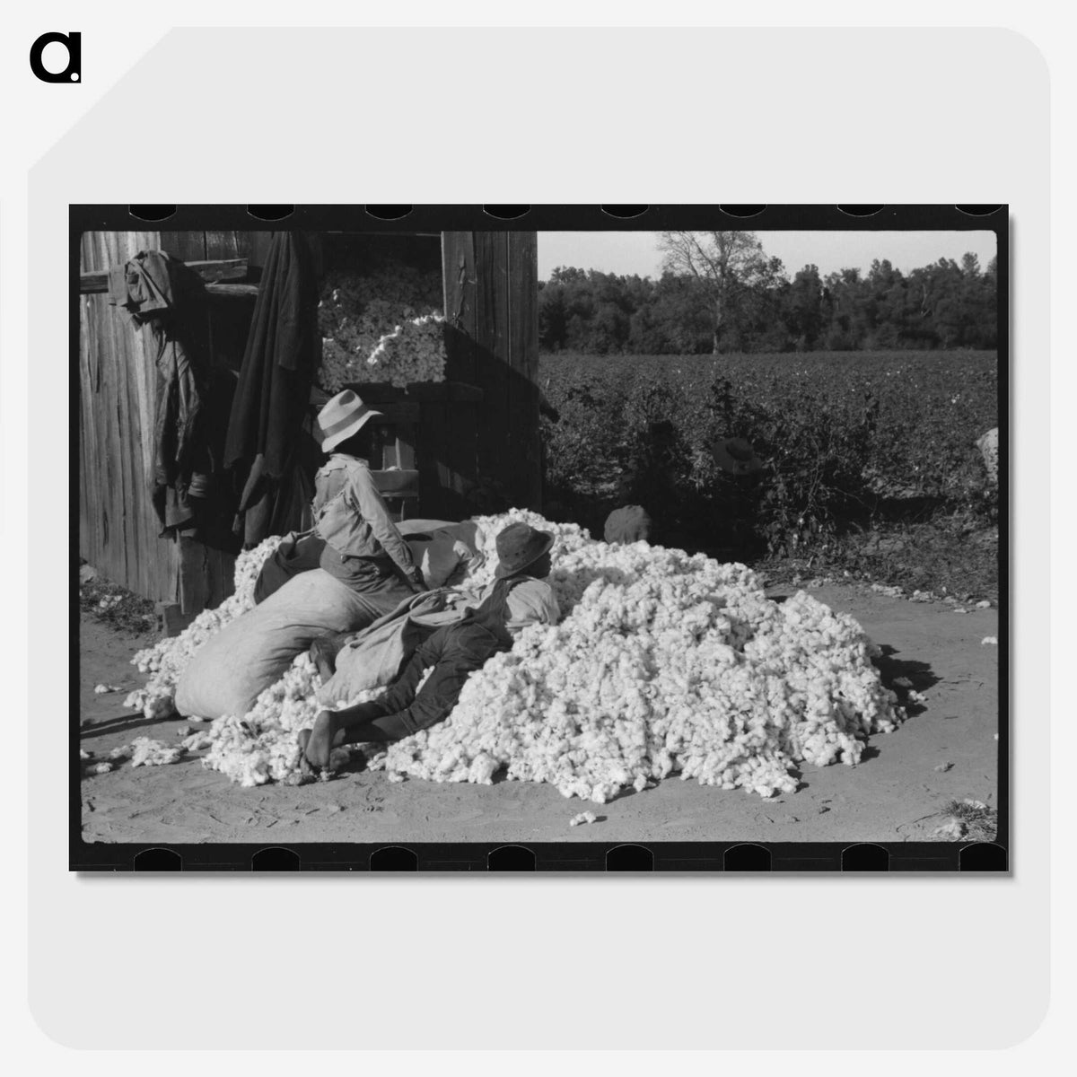 1-68_Marion-Post-Wolcott_picture-crop