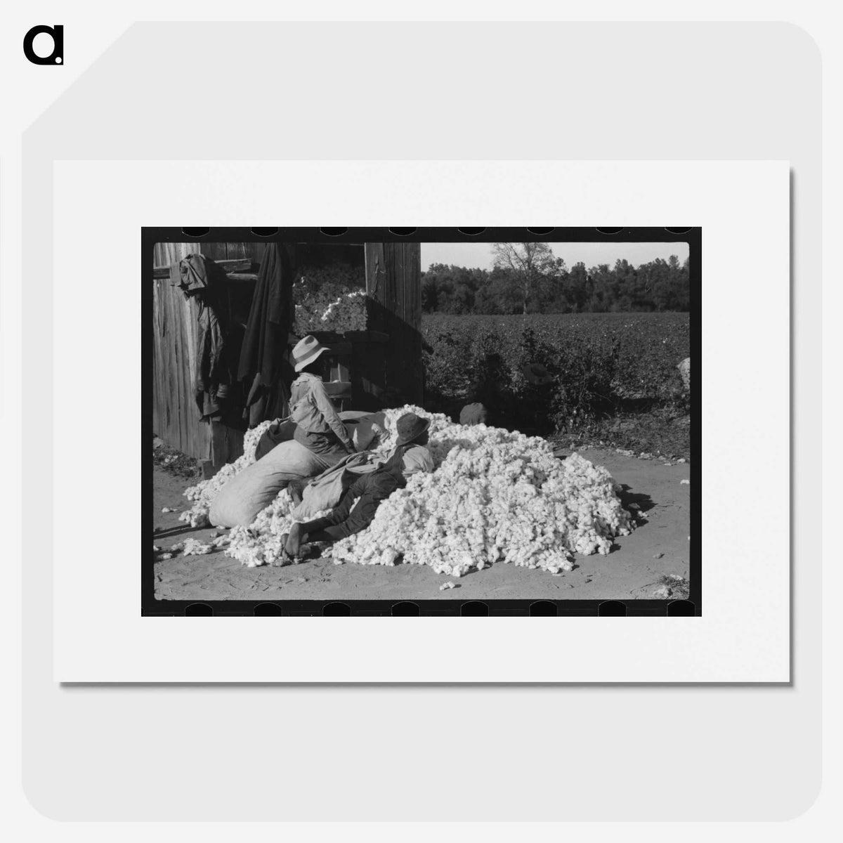 1-68_Marion-Post-Wolcott_picture