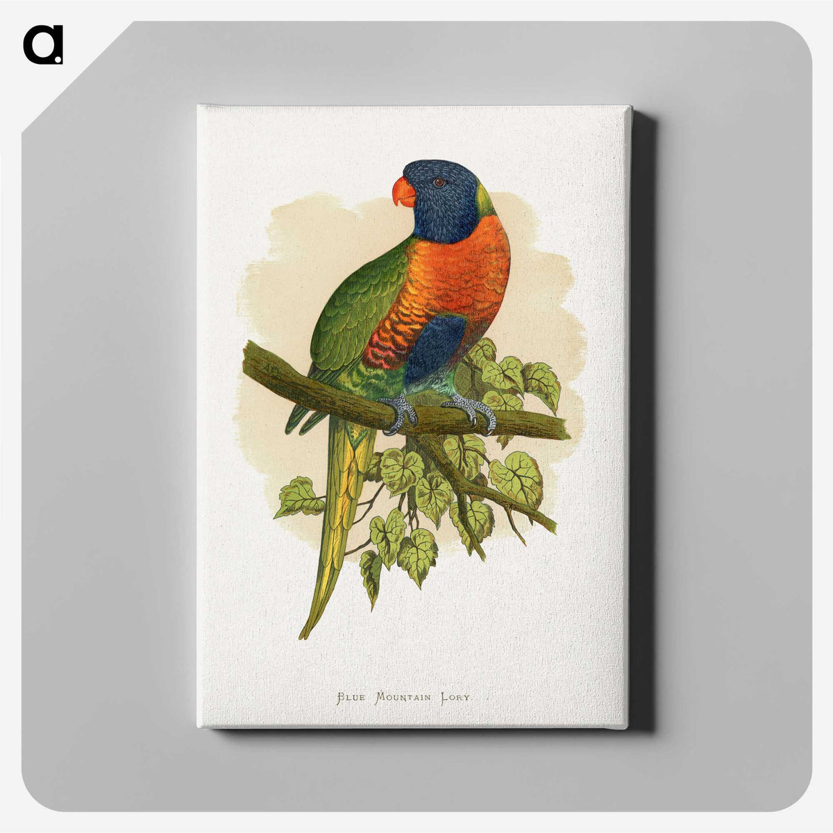 1-68_Parrots-in-Captivity_canvas