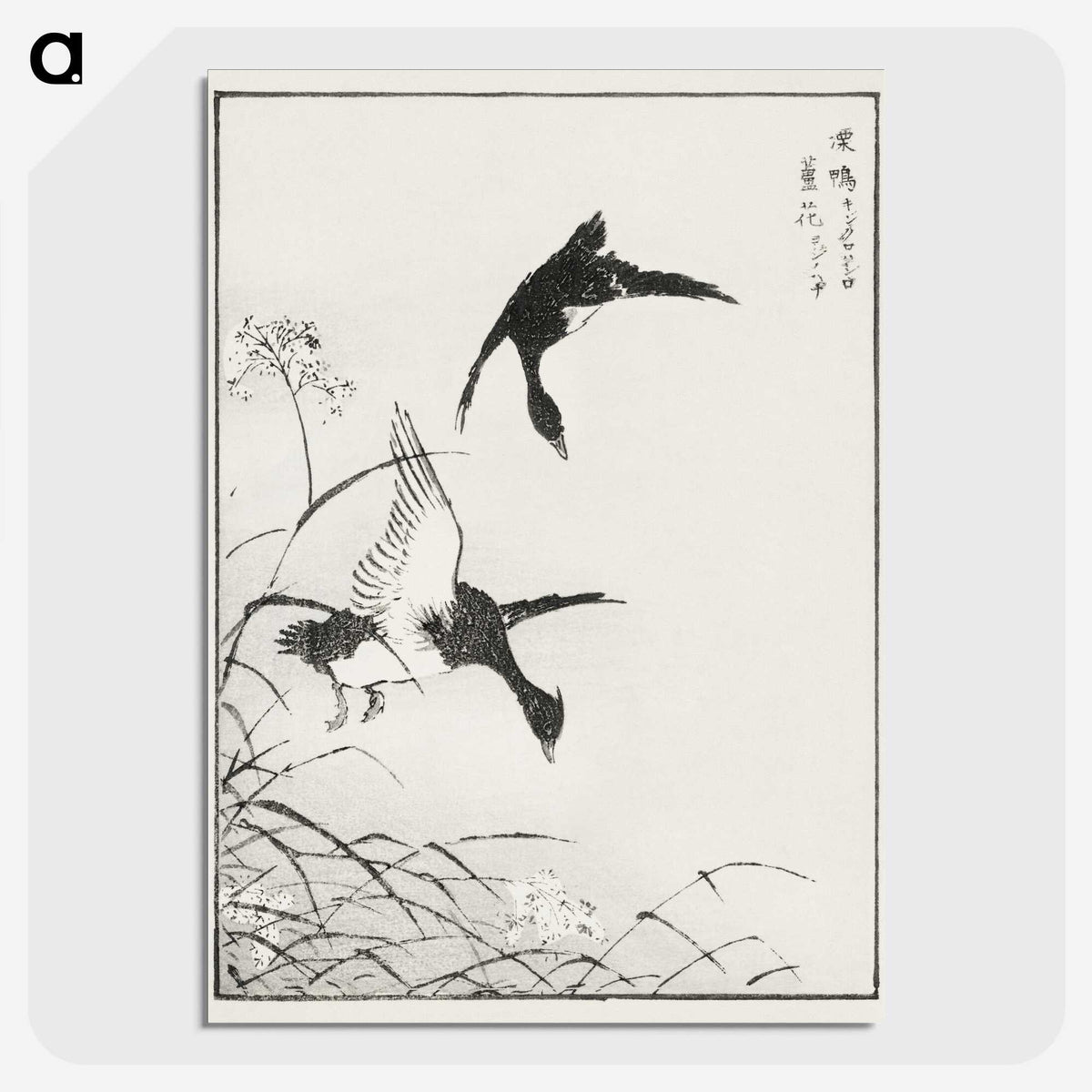 1-68_Pictorial-Monograph-of-Birds_picture-crop
