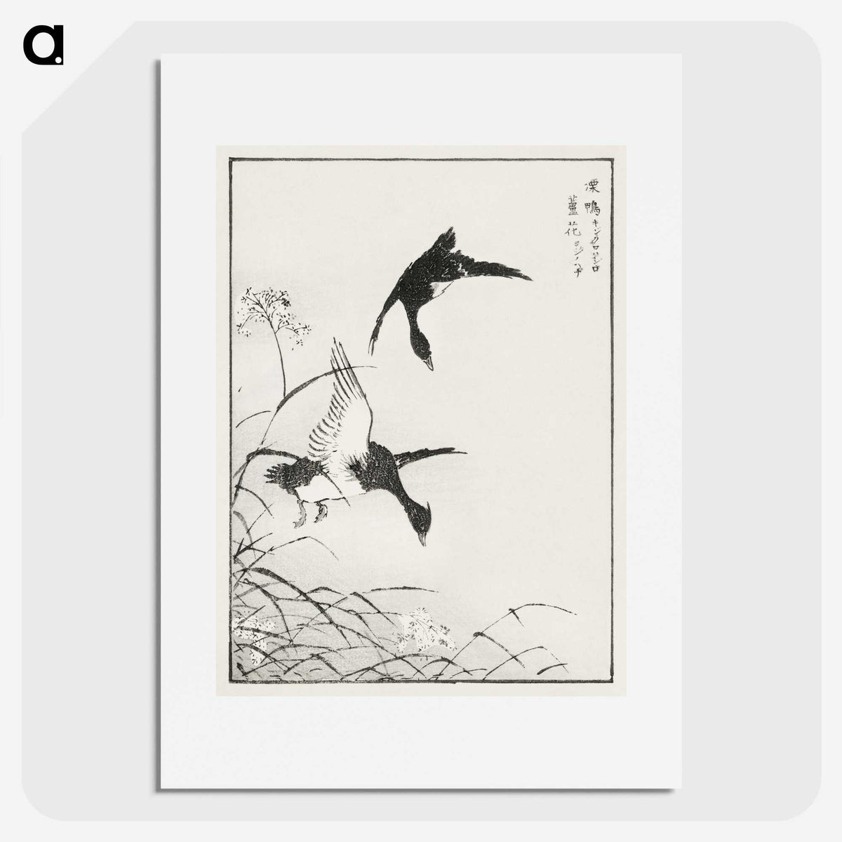 1-68_Pictorial-Monograph-of-Birds_picture