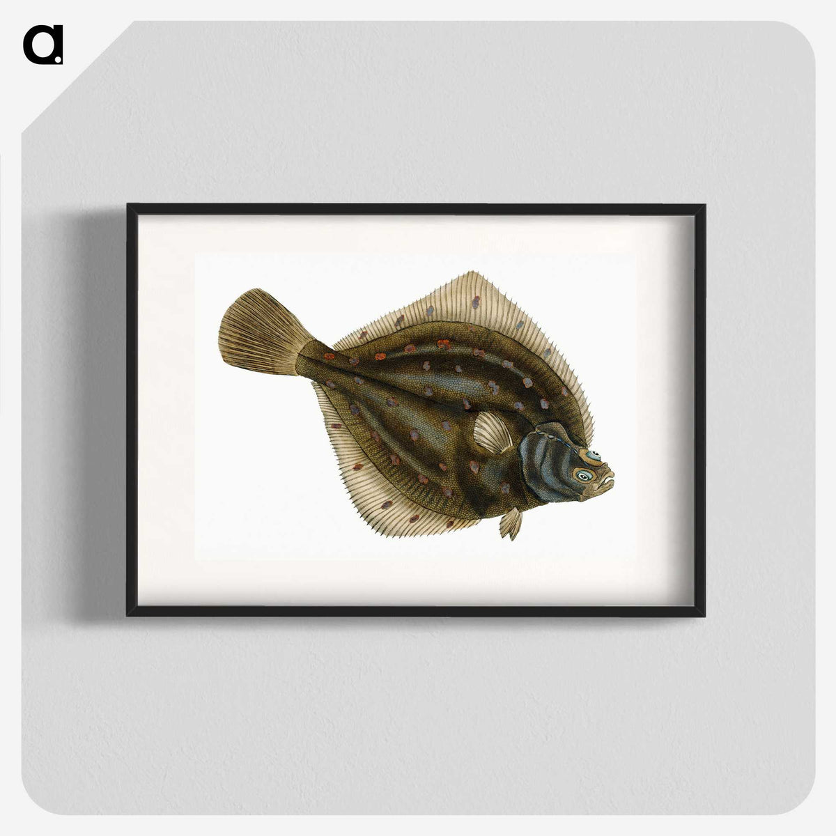 1-68_The-Natural-History-of-British-Fishes_blk