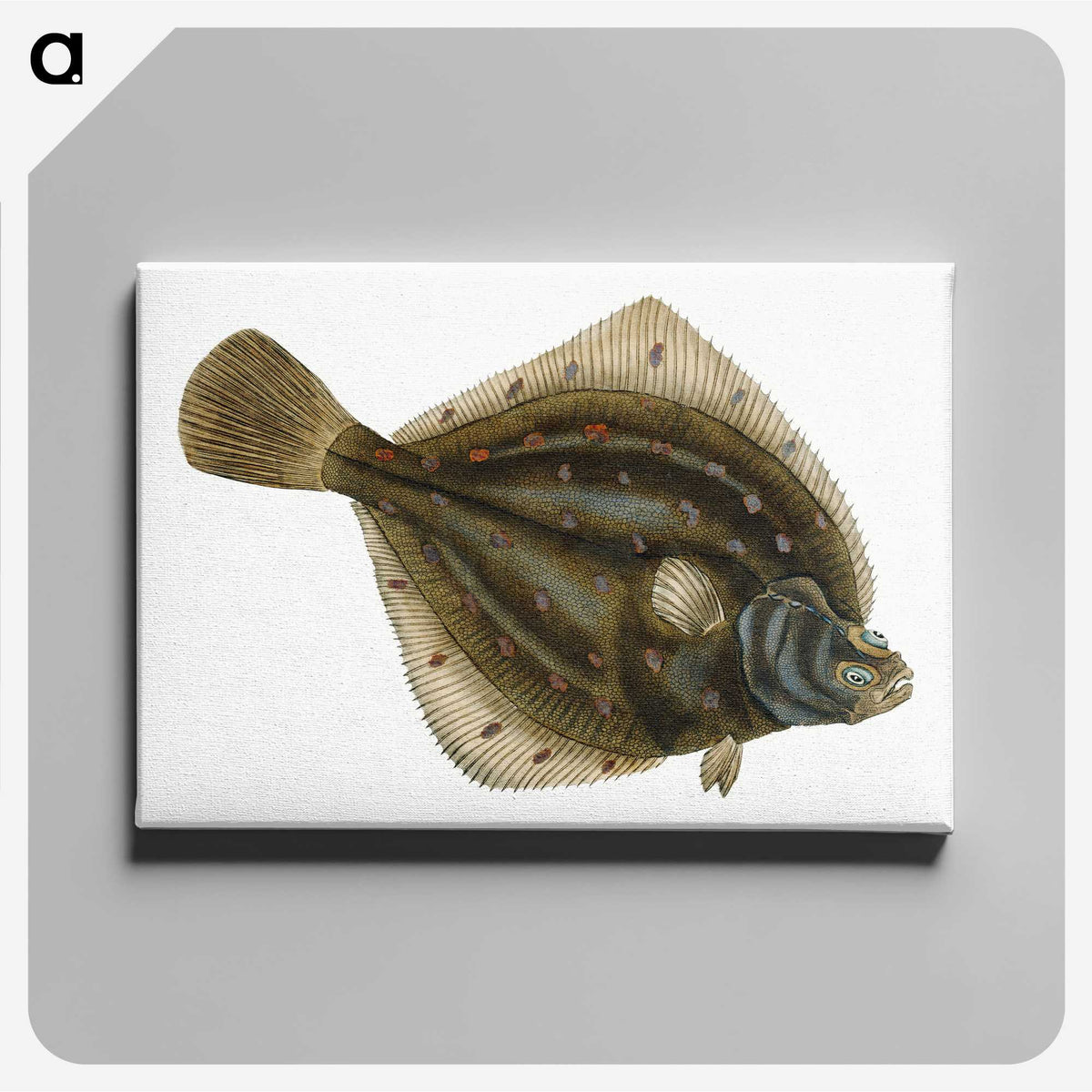 1-68_The-Natural-History-of-British-Fishes_canvas