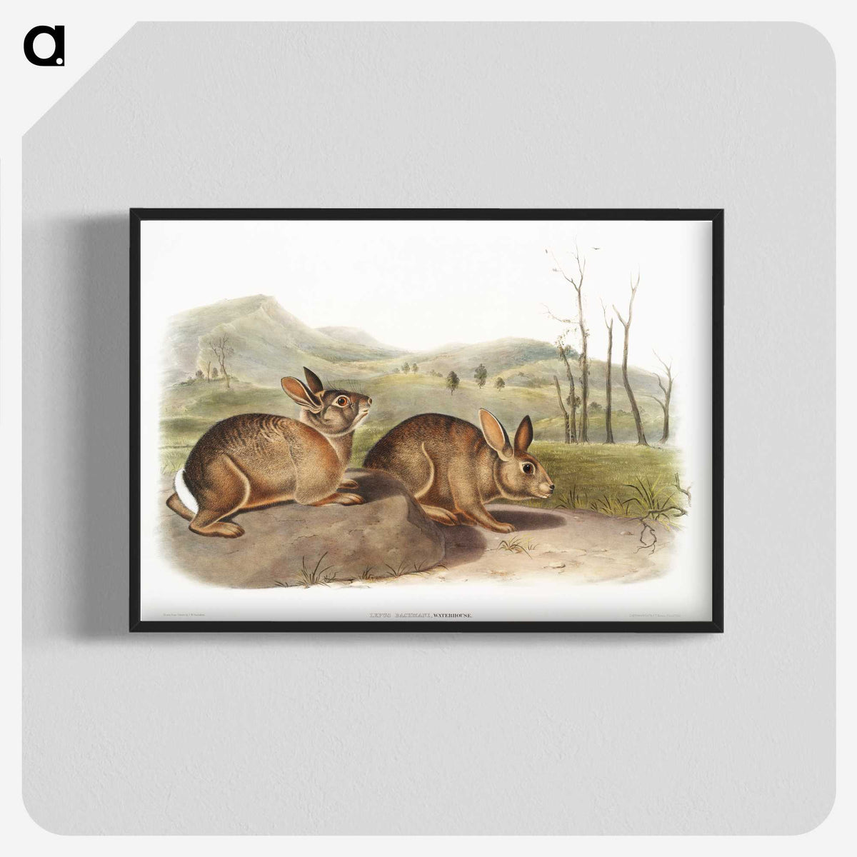 1-68_The-Viviparous-Quadrupeds_blk-crop