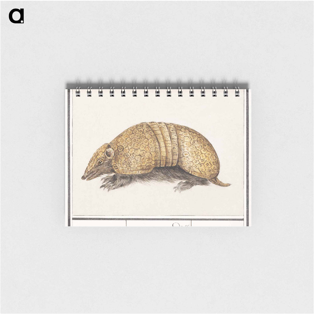 アートメモ帳-Bullet armadillo - アンセルムス ボエティウス デ ブート Memo.